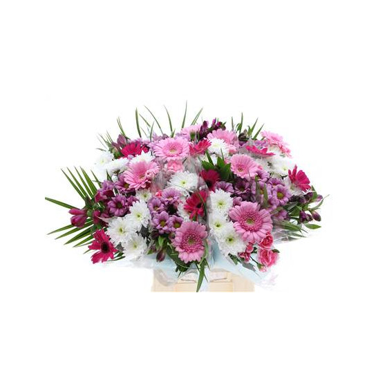 Azalea